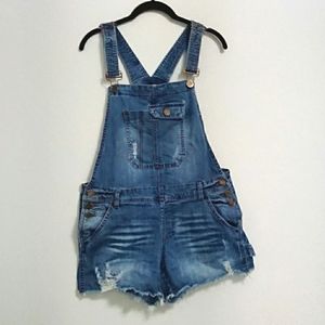 Carpenter Overalls, Women's M